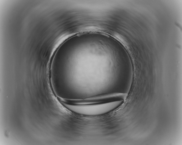X0000091541392200708171234