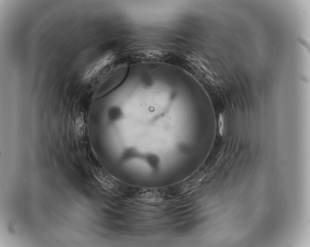 X0000091541395200708171233