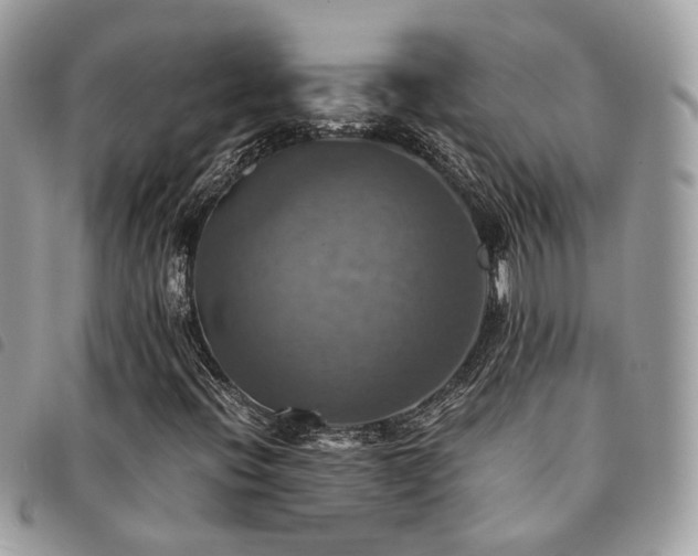 X0000091541396200708171233