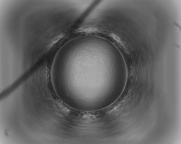 X0000091541398200708171233