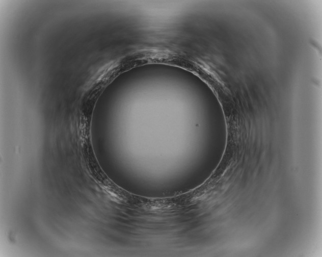 X0000091541399200708171233