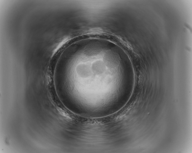 X0000091541400200708171233