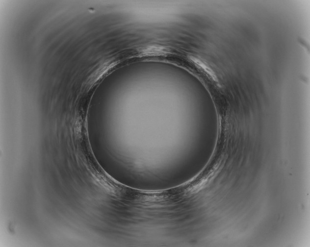 X0000091541401200708171233
