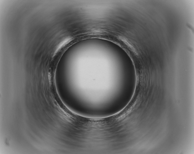 X0000091541402200708171233
