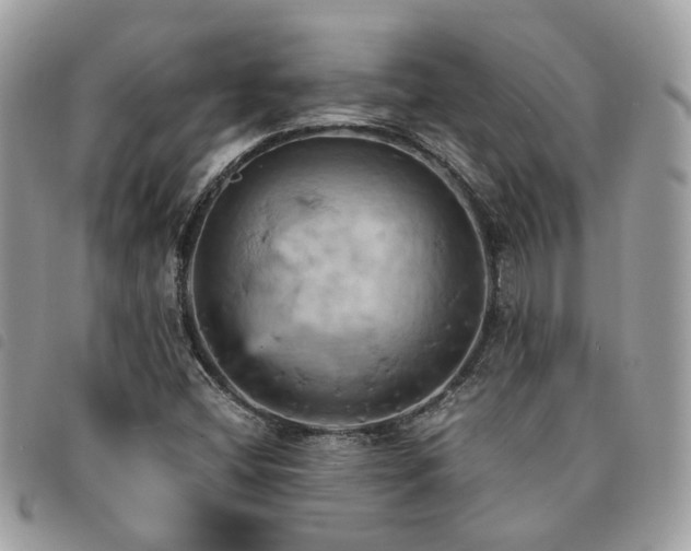 X0000091541404200708171233