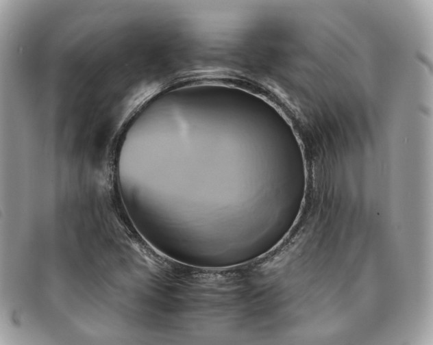 X0000091541405200708171233