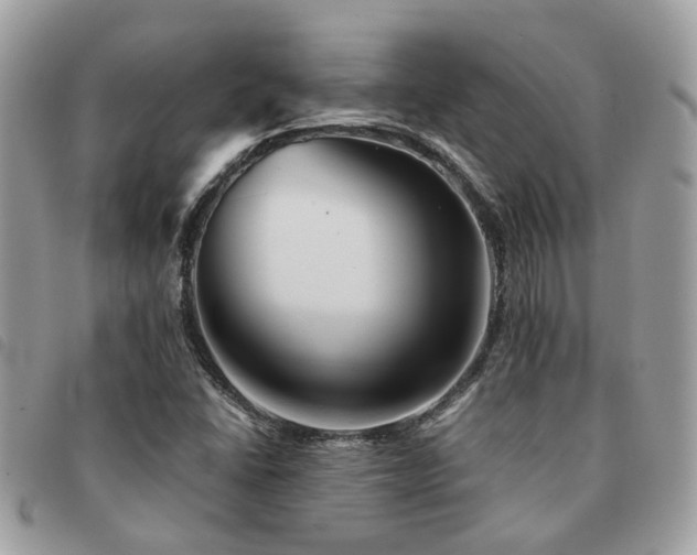 X0000091541406200708171233