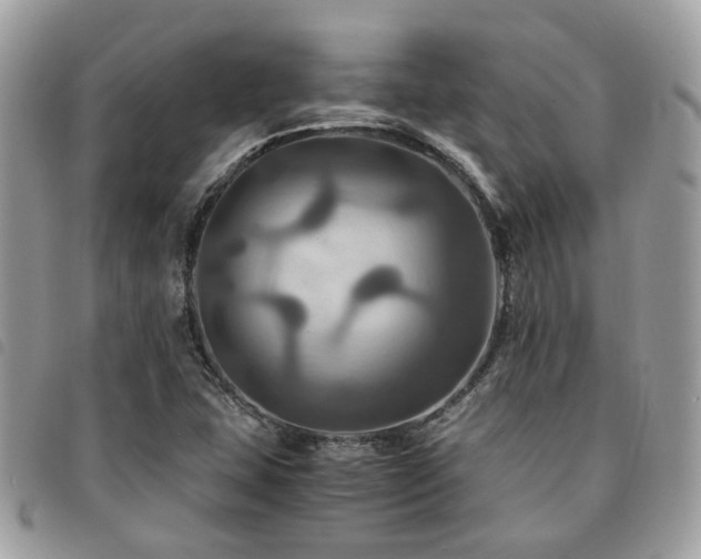 X0000091541407200708171233
