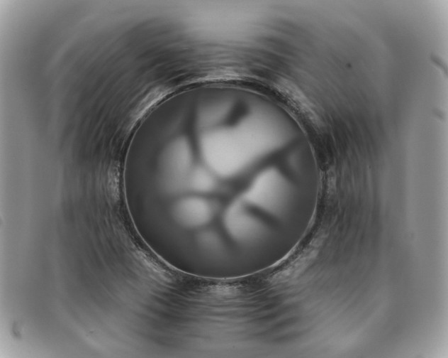 X0000091541409200708171233
