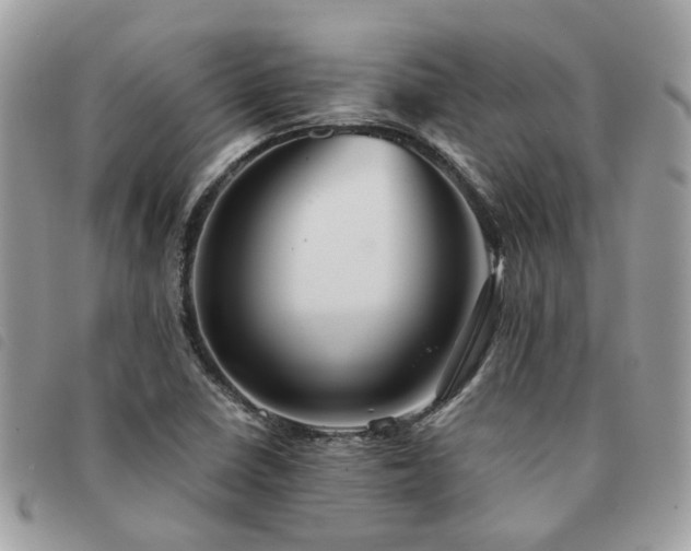 X0000091541410200708171233