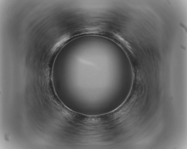 X0000091541411200708171233