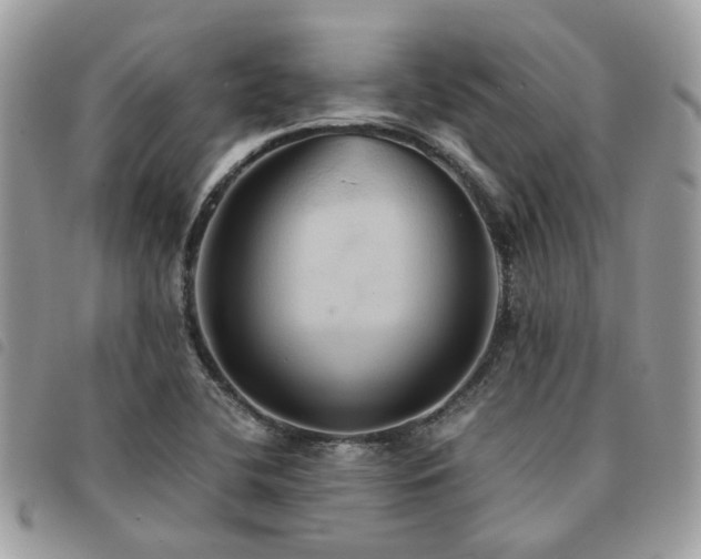 X0000091541412200708171233