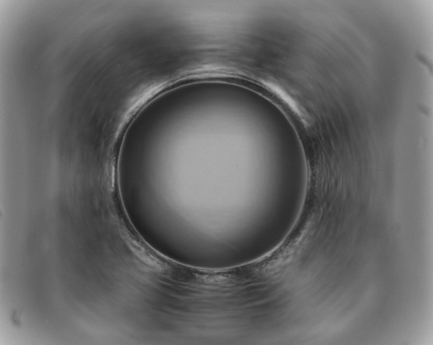 X0000091541413200708171233