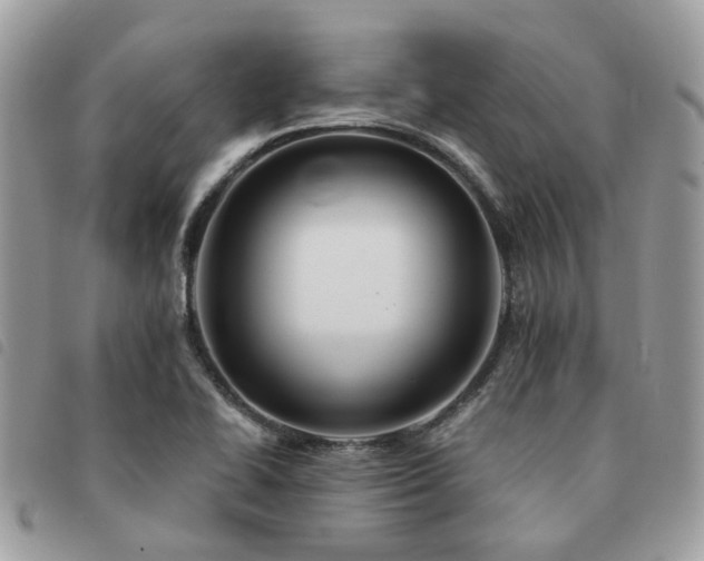 X0000091541414200708171233