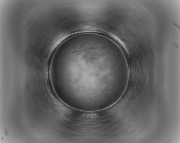 X0000091541415200708171233