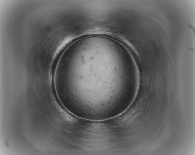 X0000091541416200708171233