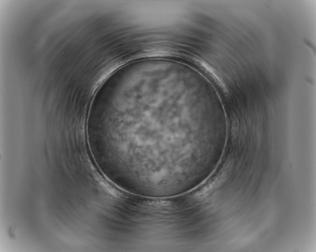 X0000091541417200708171233