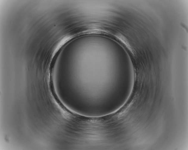 X0000091541418200708171233
