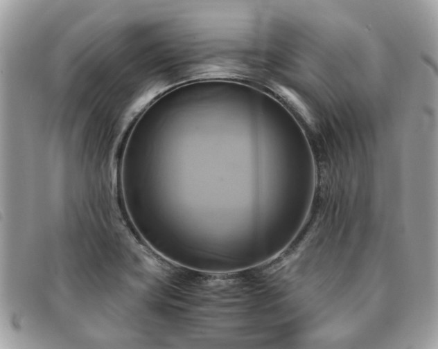 X0000091541419200708171233