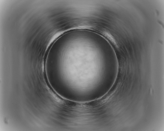 X0000091541420200708171233