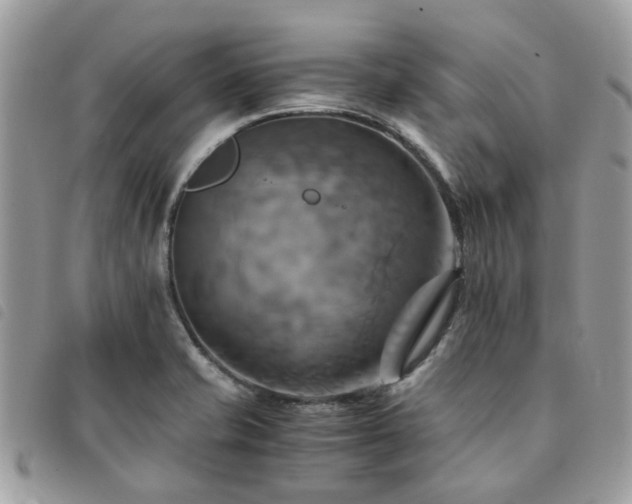 X0000091541421200708171233