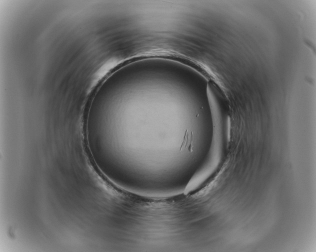 X0000091541422200708171233