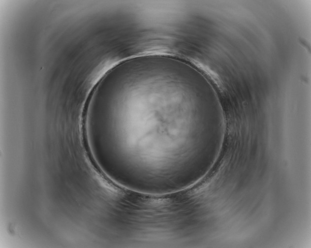 X0000091541423200708171234