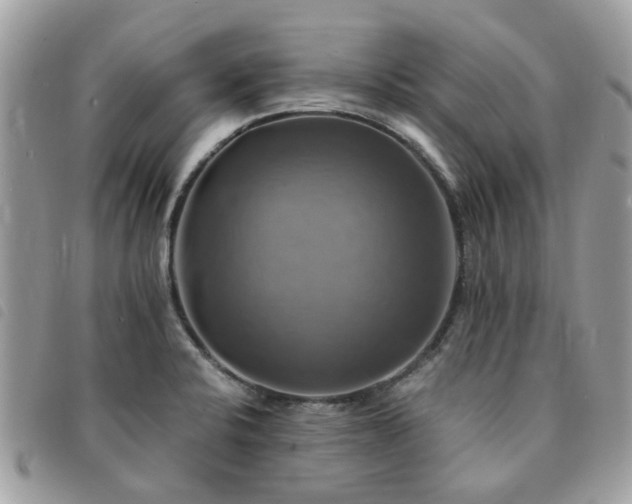 X0000091541424200708171234