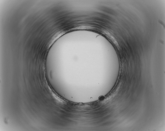 X0000091541425200708171234