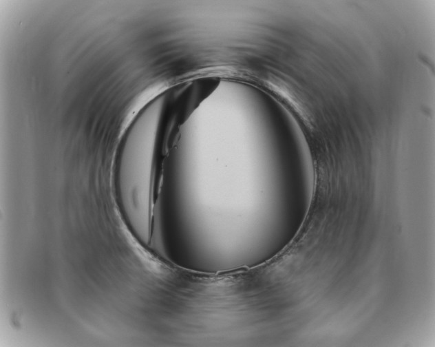 X0000091541426200708171234