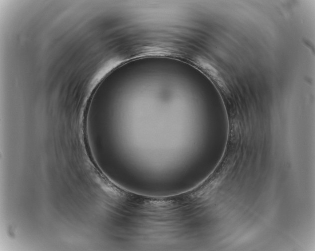 X0000091541427200708171234
