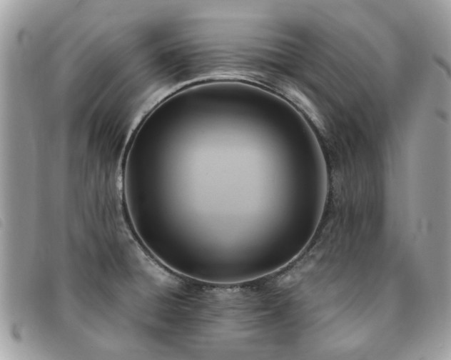 X0000091541428200708171234