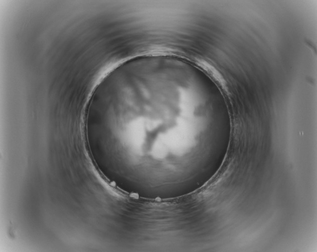 X0000091541429200708171234