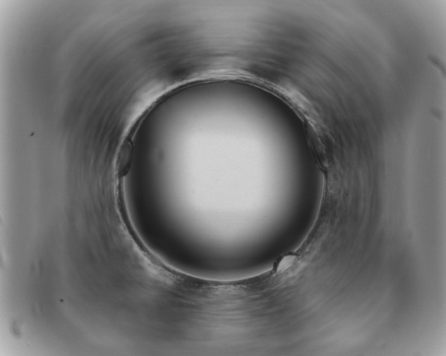 X0000091541430200708171234