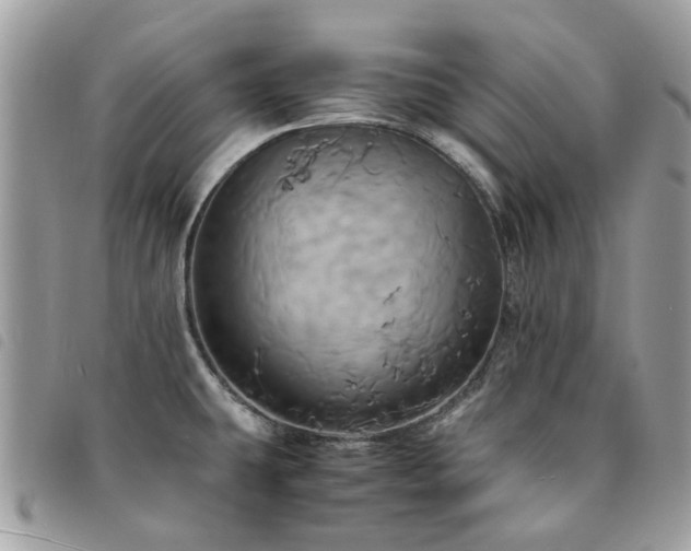 X0000091541431200708171234
