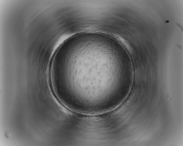 X0000091541432200708171234
