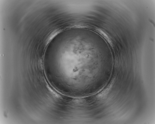 X0000091541433200708171234