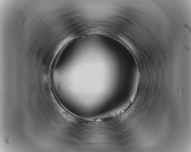 X0000091541434200708171234