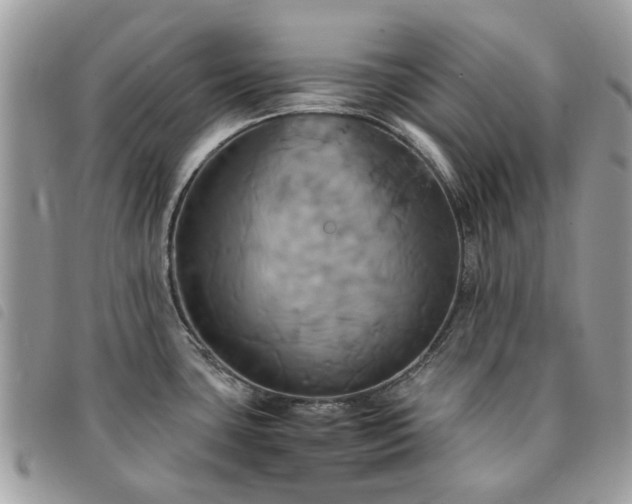 X0000091541435200708171234
