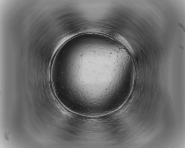 X0000091541436200708171234
