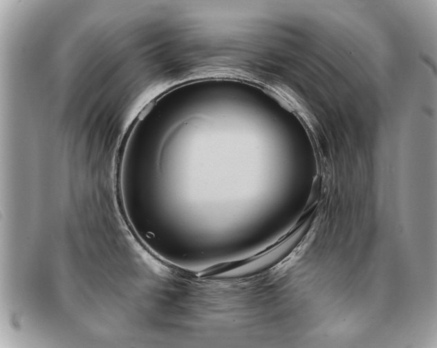 X0000091541438200708171234