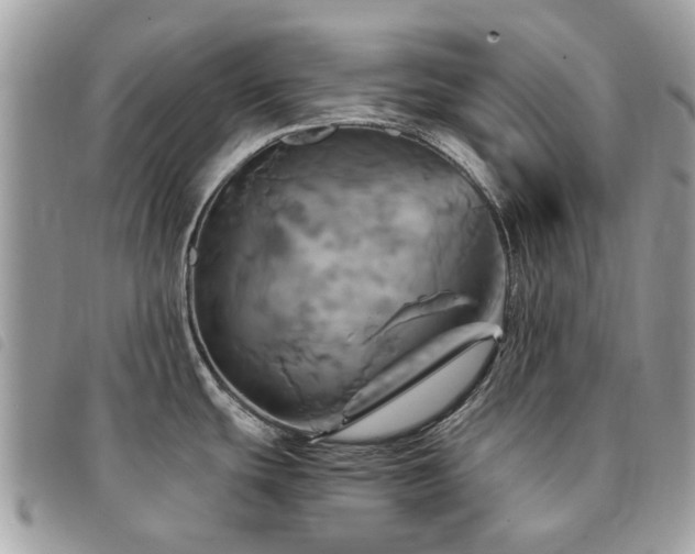 X0000091541439200708171234