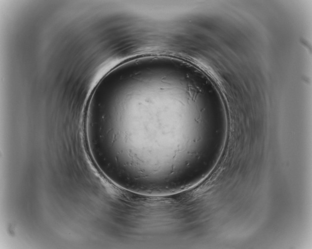 X0000091541440200708171234