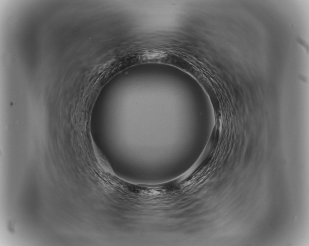 X0000091541441200708171233