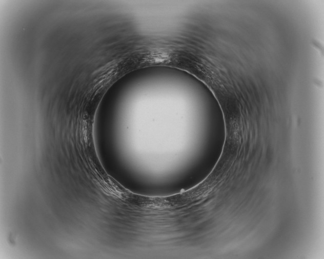 X0000091541442200708171233