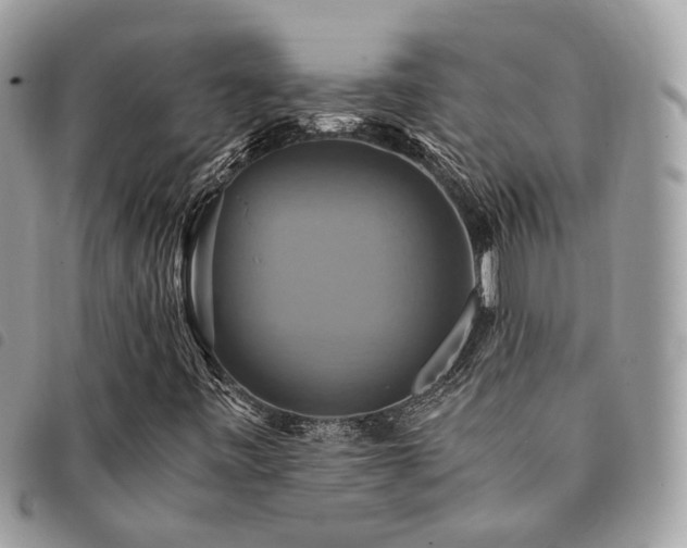 X0000091541443200708171233