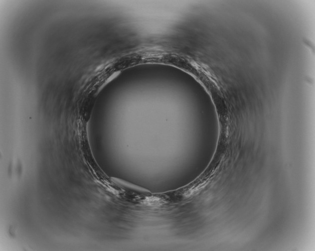 X0000091541445200708171233