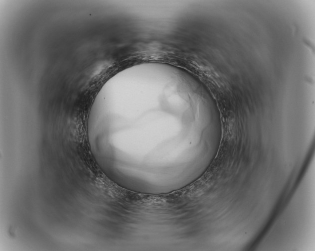 X0000091541446200708171233