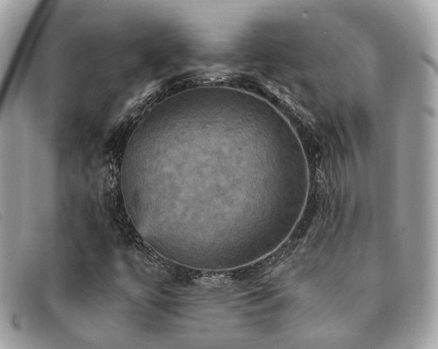 X0000091541447200708171233