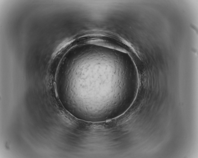 X0000091541448200708171233